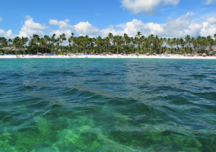 Food Lover’s Guide to Punta Cana